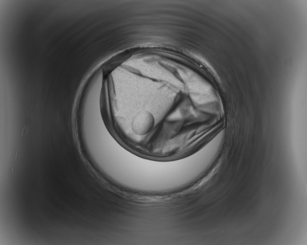 X0000087591122200705251856