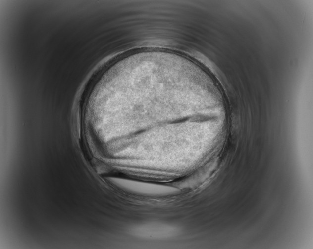 X0000087591123200705251856