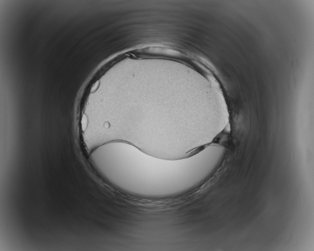 X0000087591124200705251856