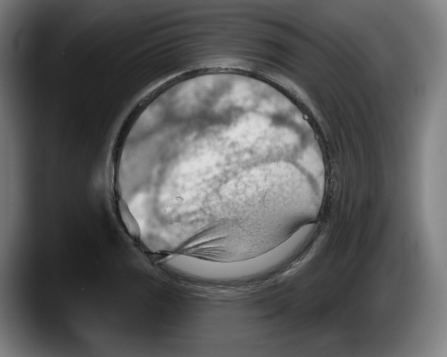 X0000087591125200705251856