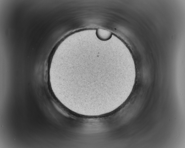 X0000087591126200705251856