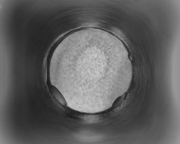 X0000087591127200705251856