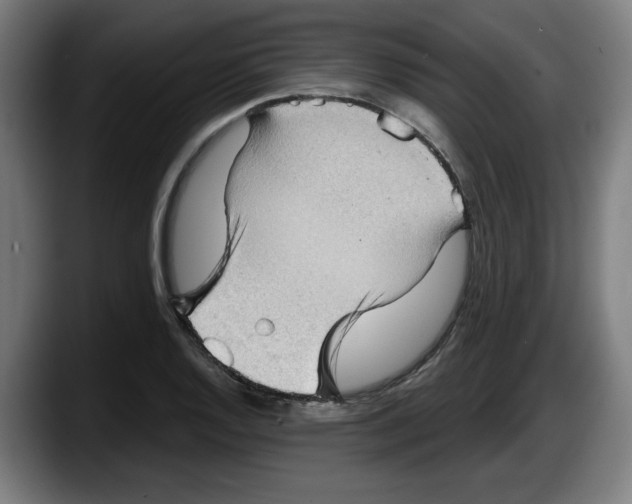 X0000087591128200705251856