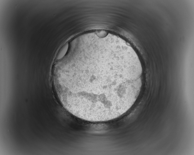 X0000087591129200705251856