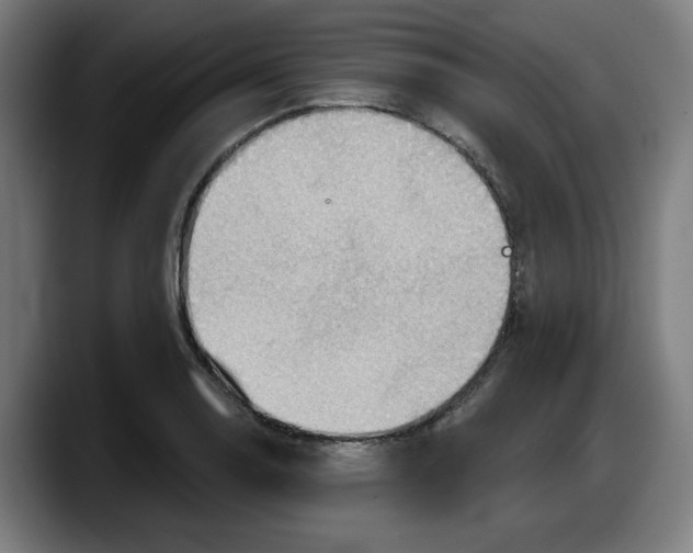 X0000087591130200705251856