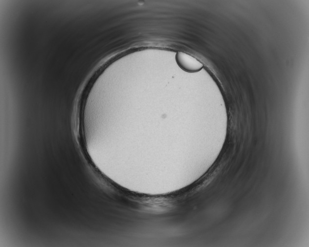 X0000087591131200705251856