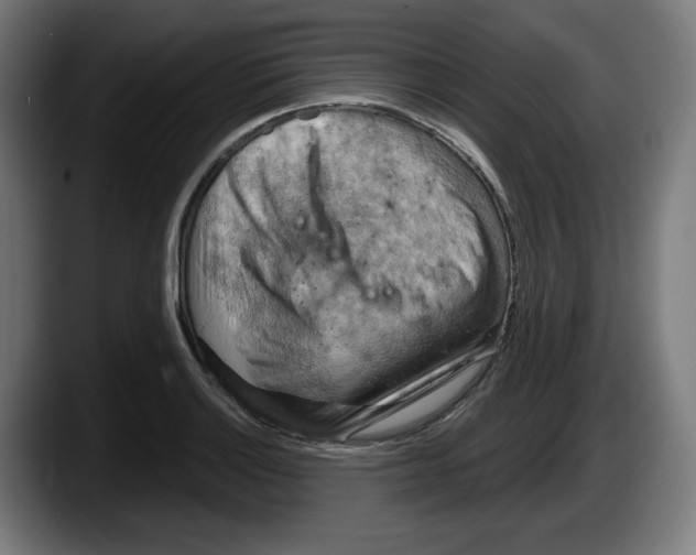 X0000087591132200705251856