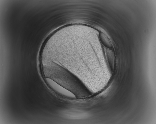 X0000087591133200705251856