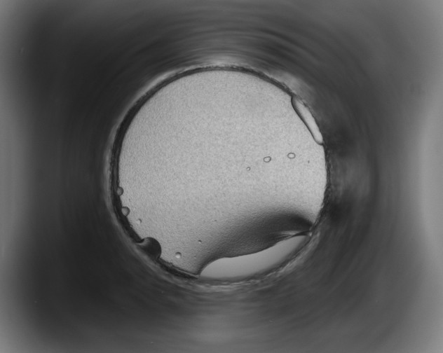 X0000087591134200705251856