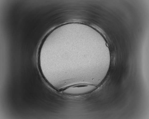 X0000087591135200705251856