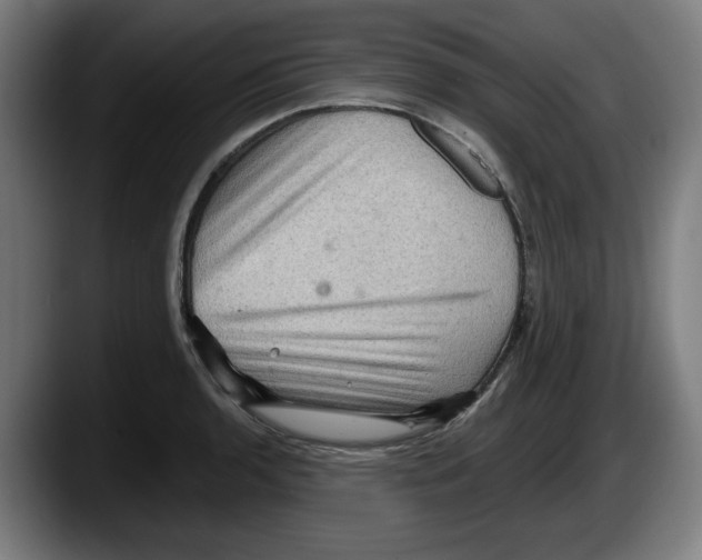 X0000087591136200705251856