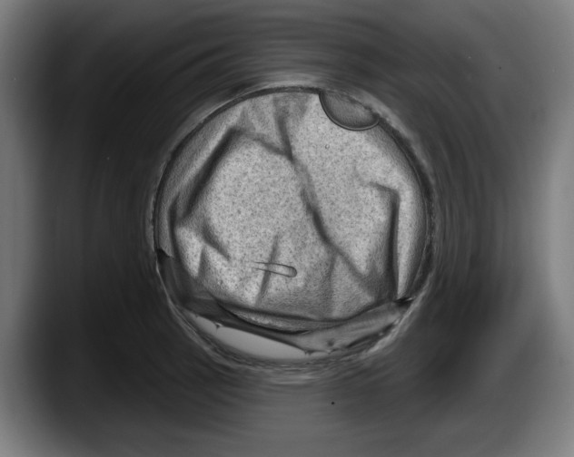 X0000087591137200705251856