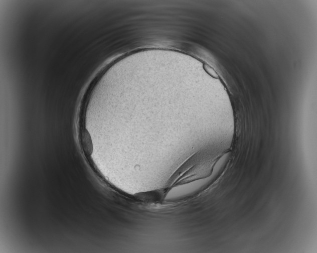 X0000087591139200705251856