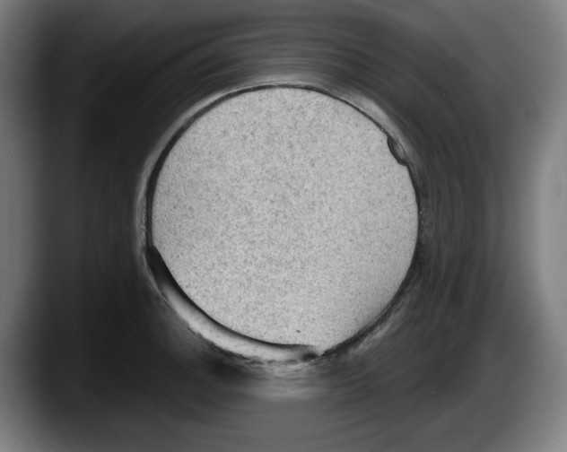 X0000087591140200705251856