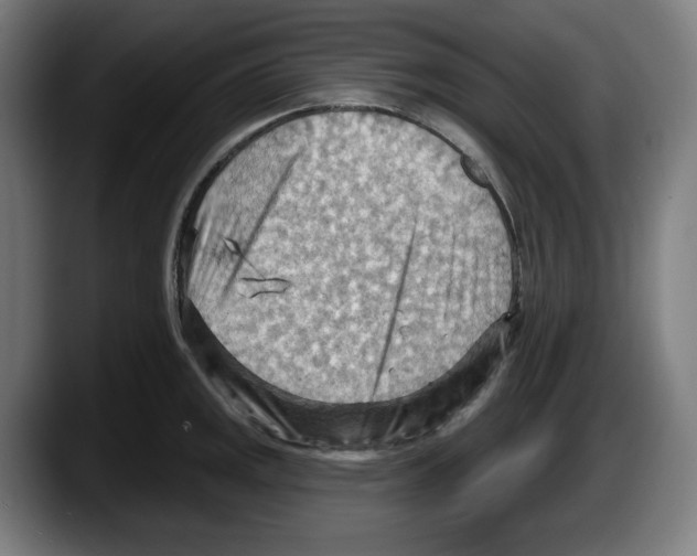 X0000087591141200705251856