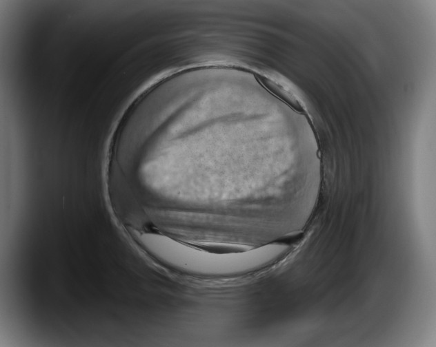 X0000087591142200705251856