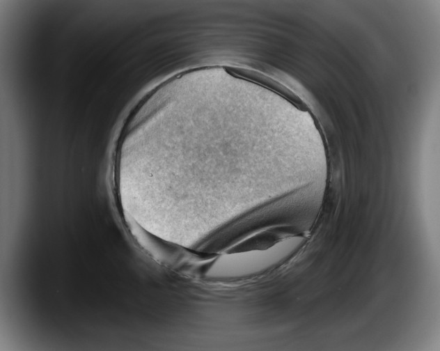 X0000087591144200705251856