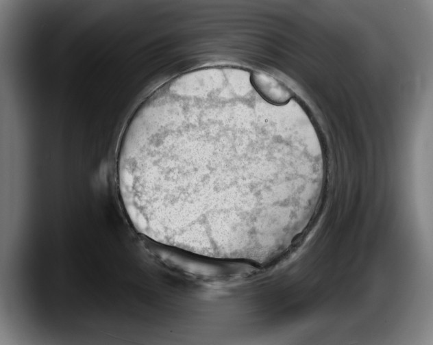 X0000087591145200705251856