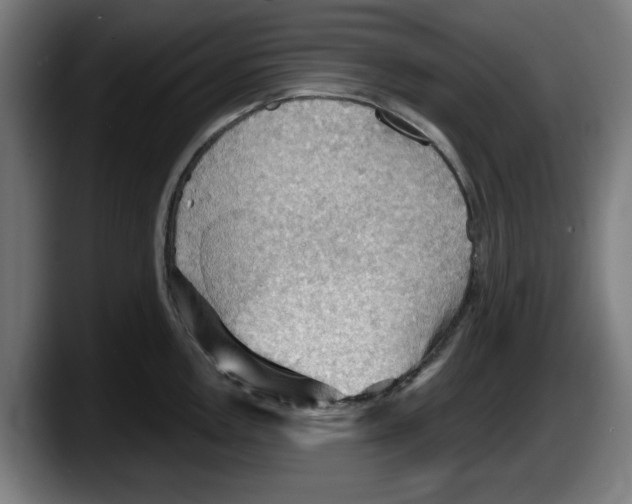 X0000087591146200705251856