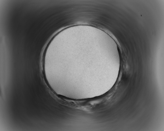 X0000087591148200705251856