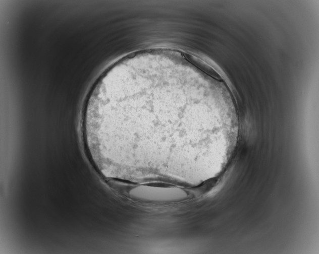 X0000087591149200705251856