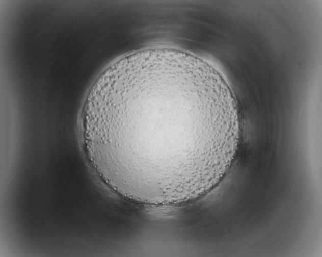 X0000087591150200705251856