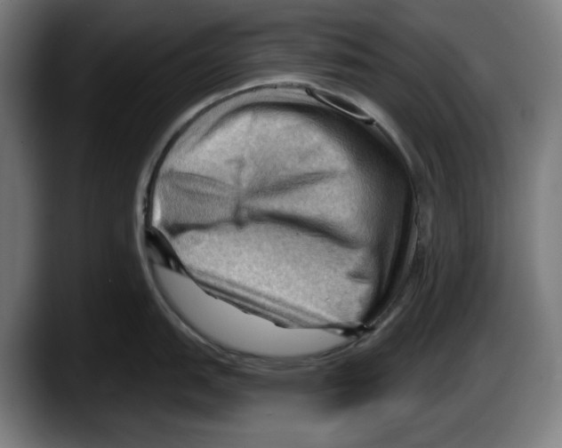 X0000087591151200705251856