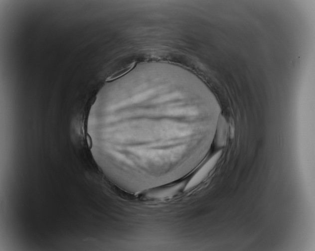 X0000087591155200705251856