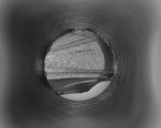 X0000087591156200705251856