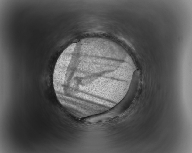 X0000087591159200705251855