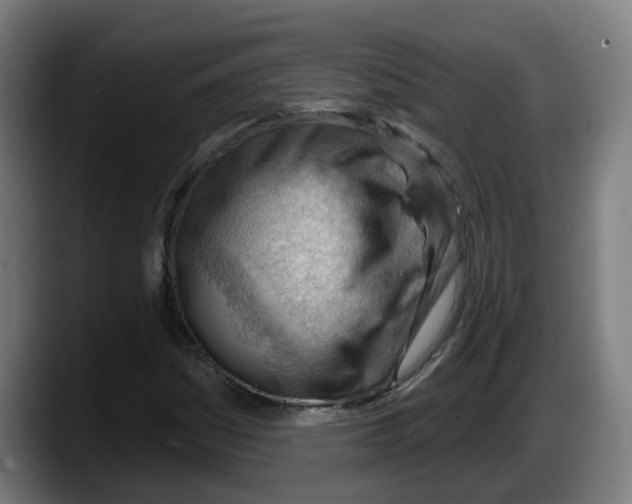 X0000087591161200705251855