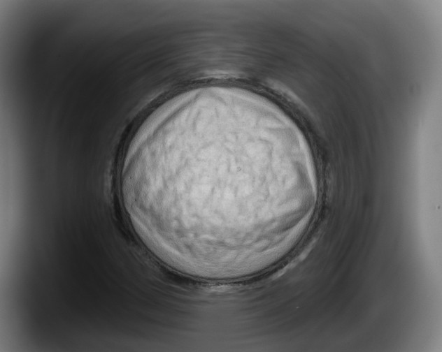 X0000087591162200705251855