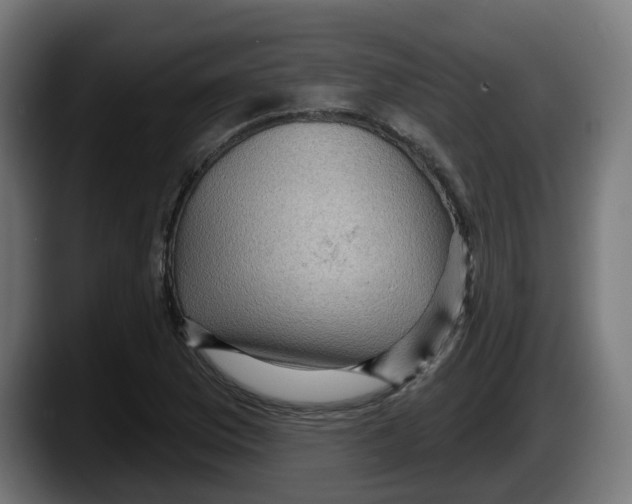 X0000087591169200705251855