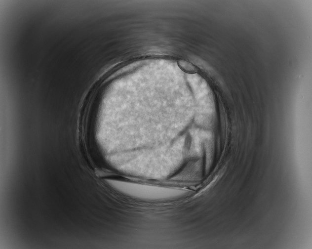 X0000087591170200705251855