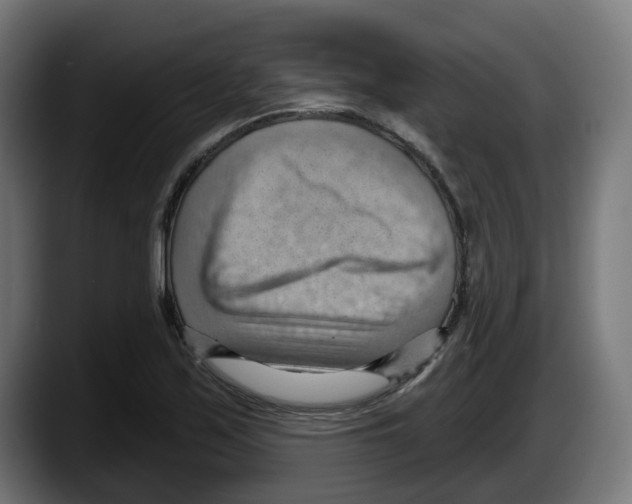 X0000087591171200705251855