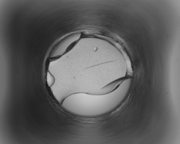 X0000087591172200705251855