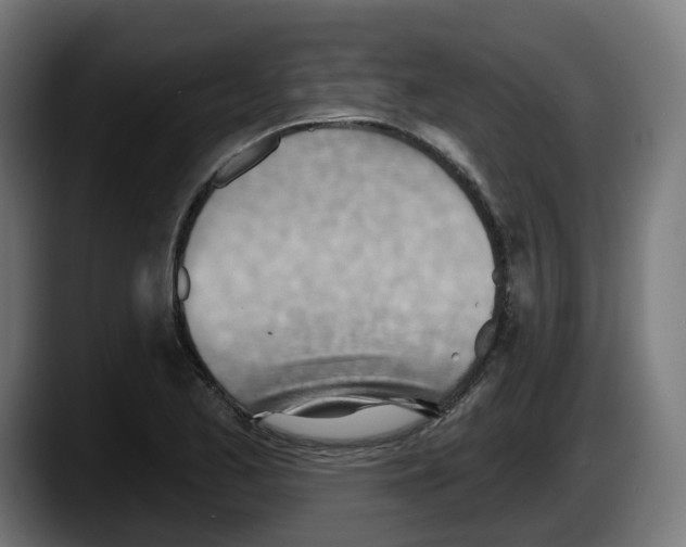 X0000087591173200705251855