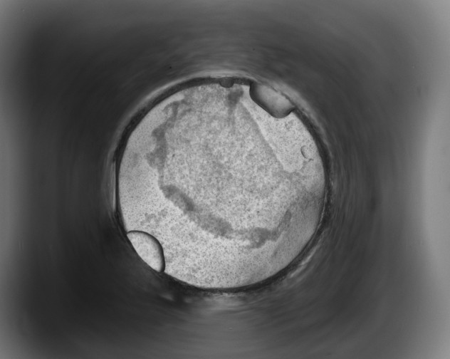 X0000087591175200705251855