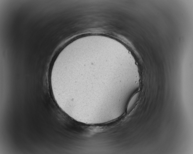 X0000087591176200705251855