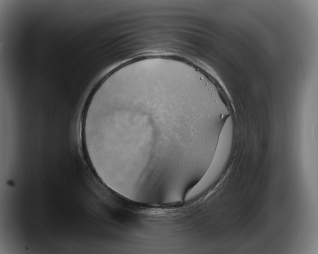 X0000087591179200705251855