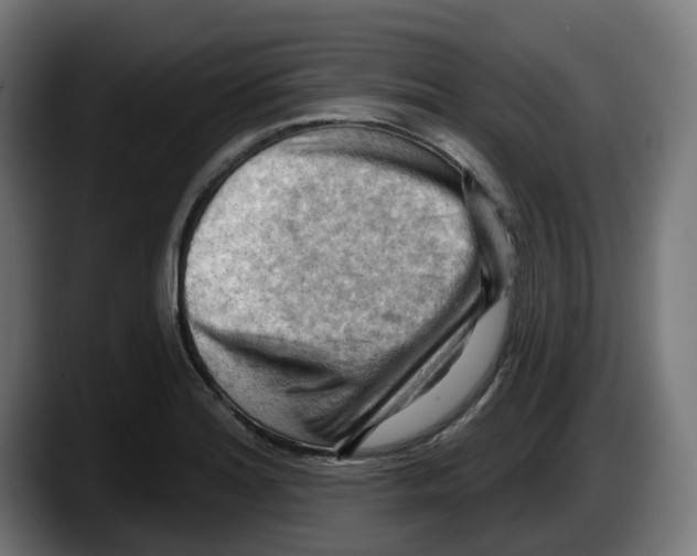 X0000087591180200705251855