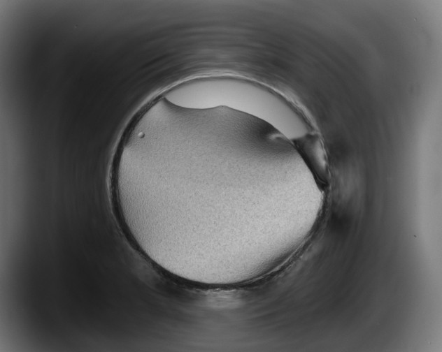 X0000087591181200705251855