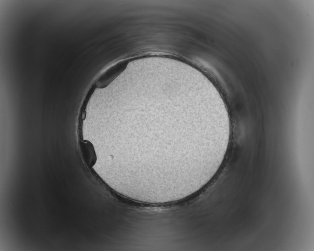 X0000087591182200705251855