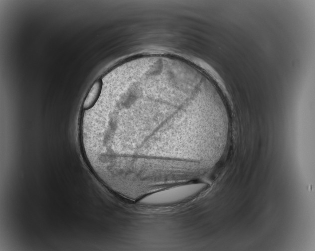 X0000087591183200705251855