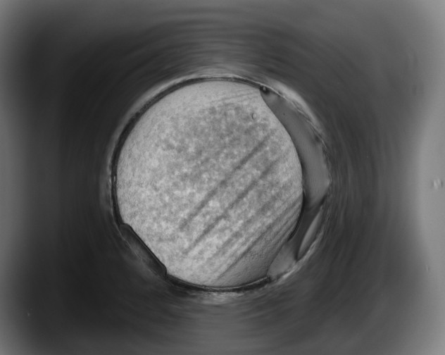 X0000087591184200705251855