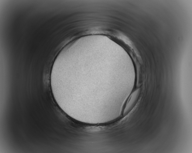 X0000087591185200705251855