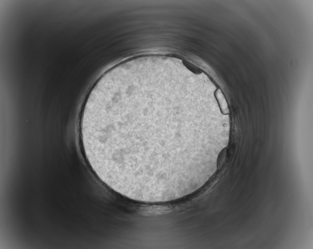 X0000087591187200705251855