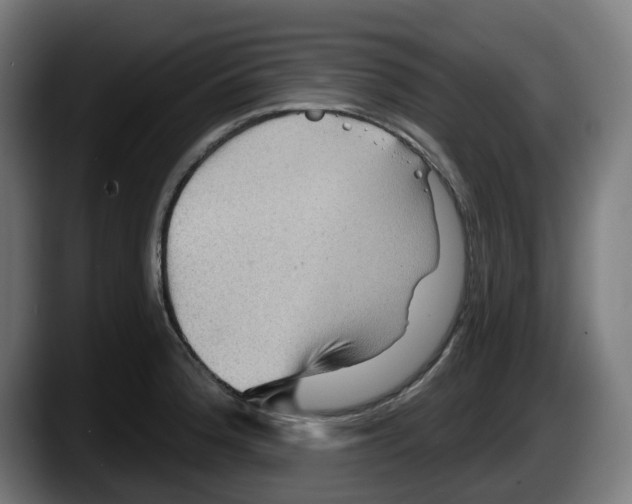 X0000087591188200705251855