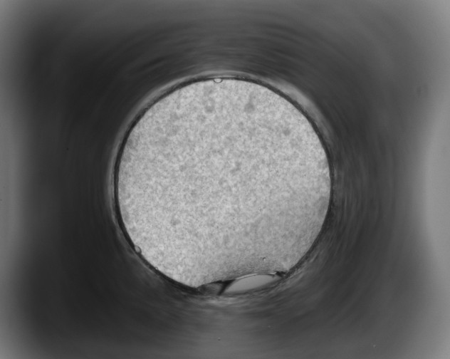 X0000087591191200705251855