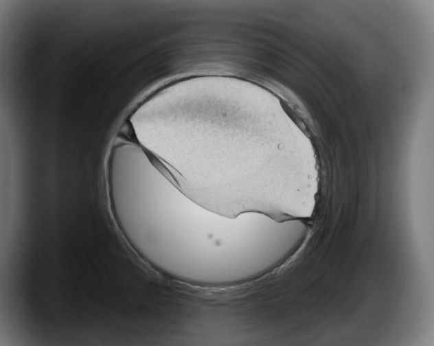 X0000087591192200705251855